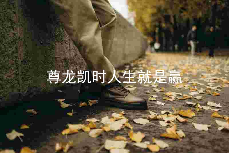 尊龙凯时人生就是赢