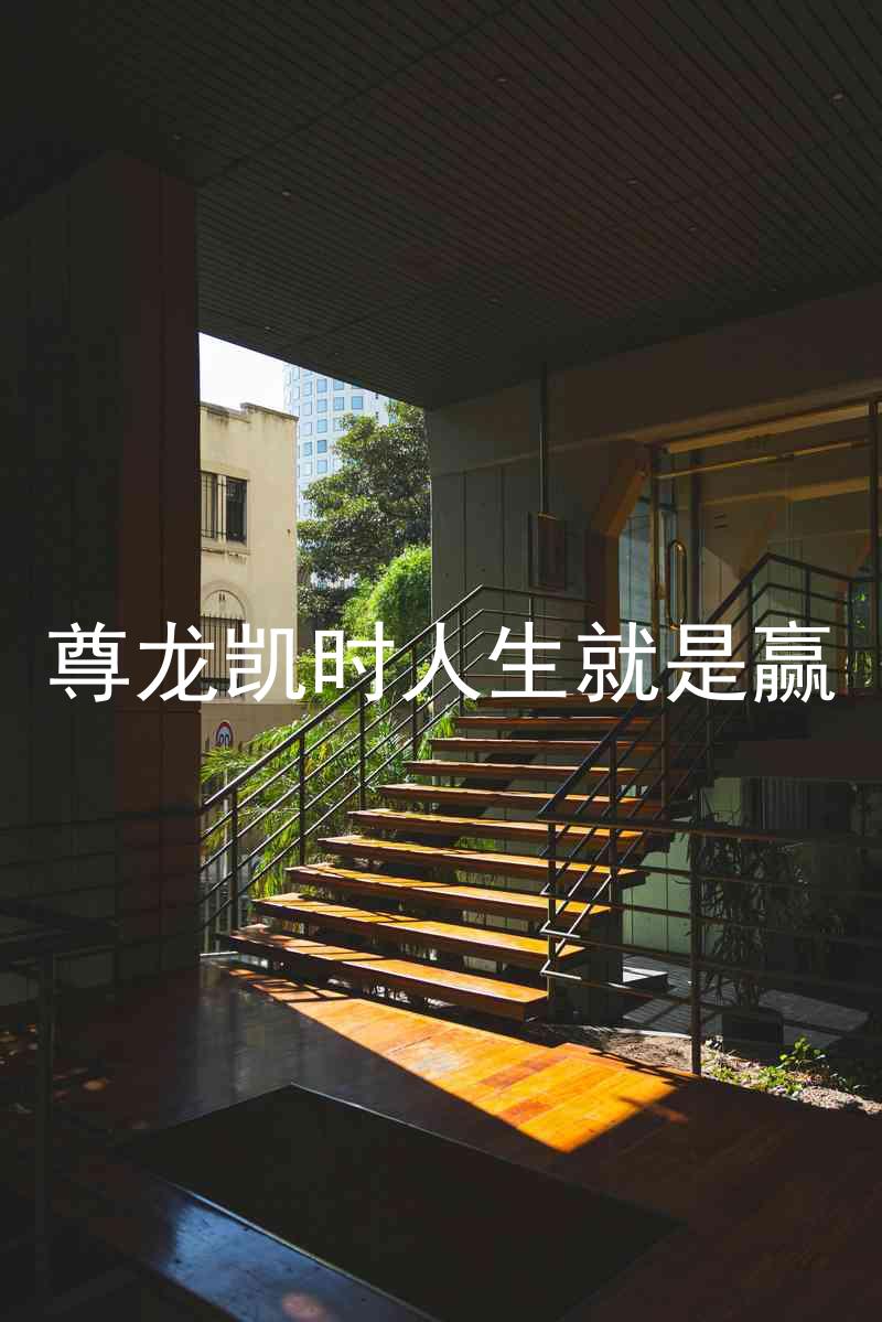 尊龙凯时人生就是赢